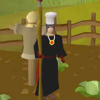 Imagínate estar tan aburrido en un MMO que creas una secta con cientos de miembros que dura años. Un jugador lo hizo